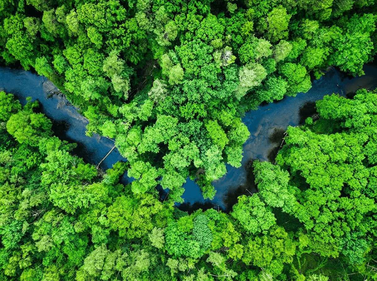 Bosque y río vistos desde el aire — compromiso con el medio ambiente y la energía sostenible